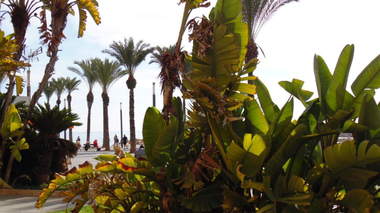Appartamento Moriones A. A150 M Del Mar En Centro De Ciudad Torrevieja